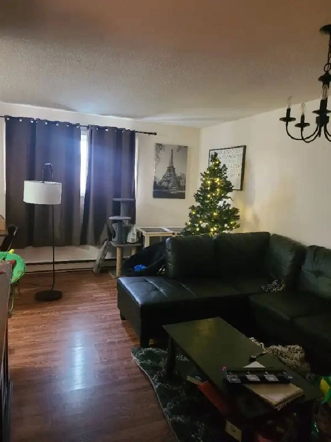 Huntsville 2 bdrm Apt for rent in Muskoka,ON Apartments & Condos for Rent