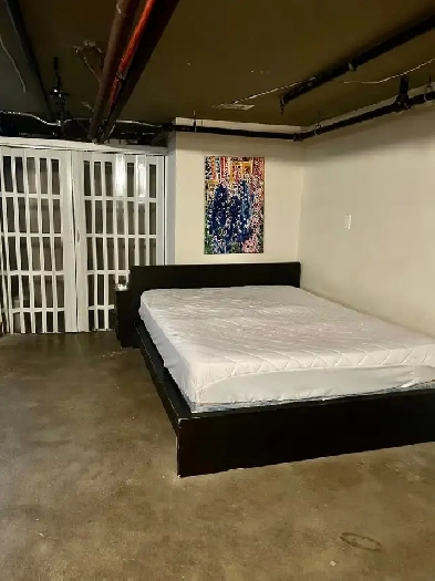 Large Room in Basement - available JULY 1st Image# 2