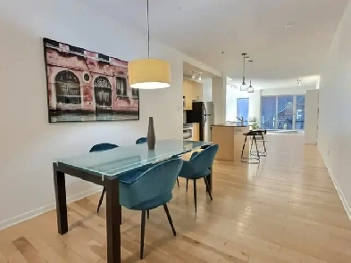 Spacious, 1100 sq ft fully furnished Loft in Old Port Image# 1