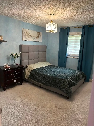 Renting a beautiful master room in a super calm neighborhood Image# 2
