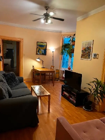 Apartment in the heart of the Plateau for rent! Image# 1