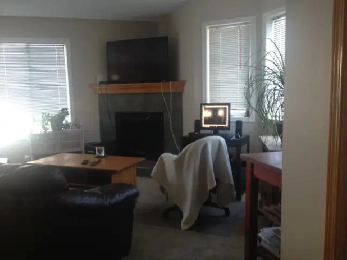 Furnished lower level for short term rental (Aug and Sept) in Calgary,AB - Short Term Rentals