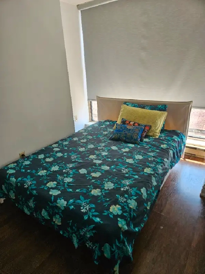 Summer Sublet July and August 1 Bed with private bath Downtown in City of Toronto,ON - Room Rentals & Roommates