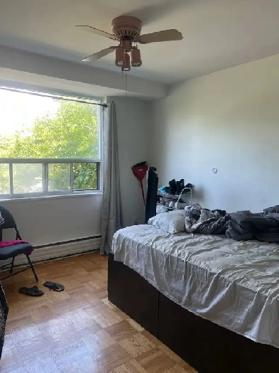 1 room for rent Image# 2