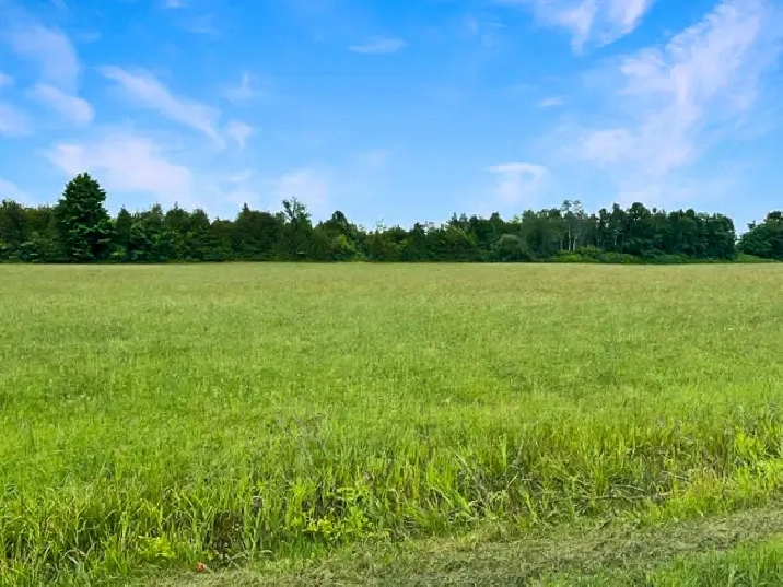 2.76-acre building lot ready for you to build your dream home in Ottawa,ON - Land for Sale