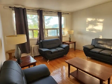 Furnished one-bedroom apartment, Kingston and Warden, asap Image# 1