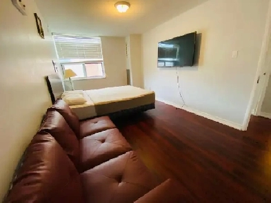 Furnished two-bdr apartment, Kingston & Lawrence, asap Image# 8