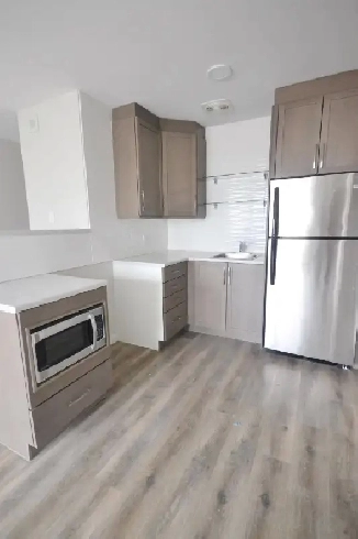 Renovated 1 bedroom, Downtown! Image# 4