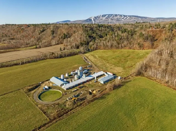 StJoachim près de Québec, 3.75 acres bâtiments agricoles in Québec