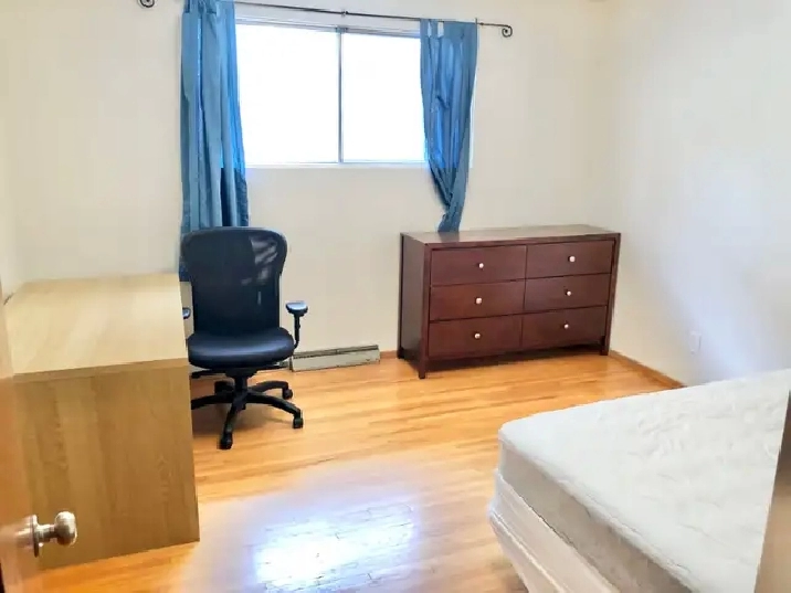 Looking for female roommate, furnished room near UofC & SAIT in Calgary,AB - Room Rentals & Roommates