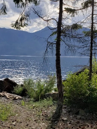 Incredible Waterfront Property on Kootenay Lake Image# 1