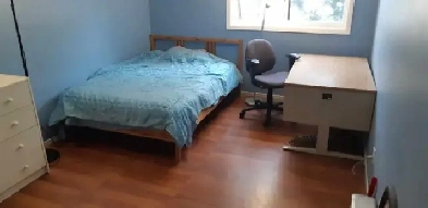 Pinecrest roommates for rent now Image# 2