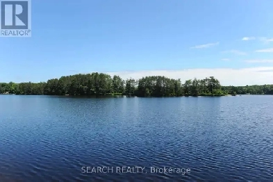 Waterfront property in MACTIER ON. $100K below current appraisal Image# 1