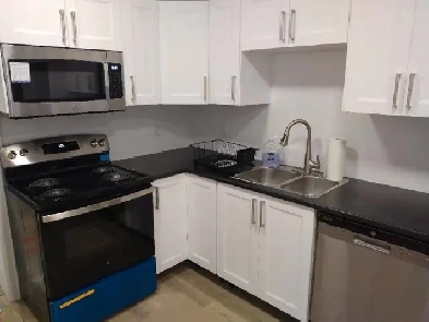 Immed/OCT-Share 3bd apt Rnvtd-15m/Carleton-20m/Ottawa U-VIDEOs Image# 1