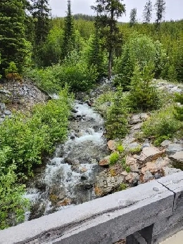 Perry Creek Placer/GOLD Claim for Sale! Image# 1