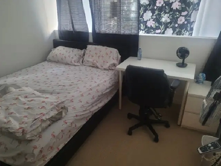 Private room in townhouse downtown of Toronto in City of Toronto,ON - Room Rentals & Roommates