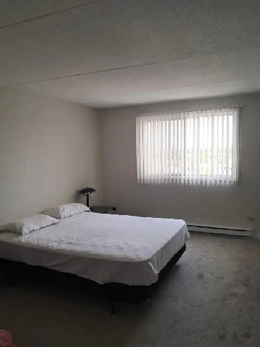 1 Bedroom   Den Apartment for Rent - Near University of Manitoba Image# 8