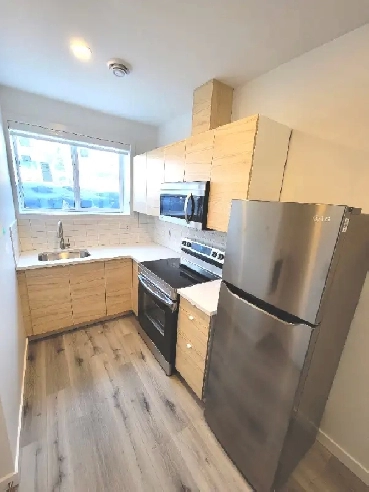 Luxury 1 Bedroom Legal Basement Suite close to NAIT Image# 2