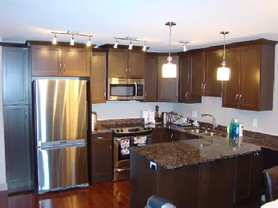 Fully furnished 2bed condo with underground parking(Willowgrove) Image# 1