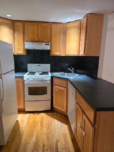 2 BEDROOM CONDO FOR RENT STARTING OCTOBER 1❗️❗️❗️ Image# 8