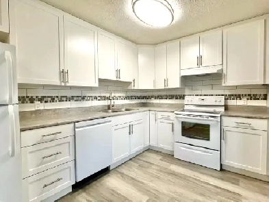 Newly Renovated 1 & 2 Bedroom Apt - Minutes to Century Park LRT Image# 1