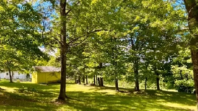 Chalet à vendre dans Bellechasse Image# 1