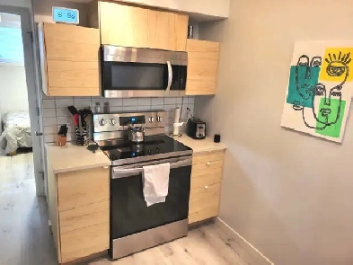 Luxury 1 Bedroom Legal Basement Suite close to U of A Image# 1