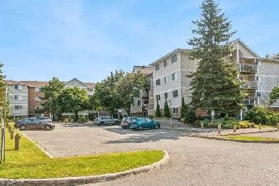 beautifully appointed 2-bedroom, 1-bathroom condo Image# 3