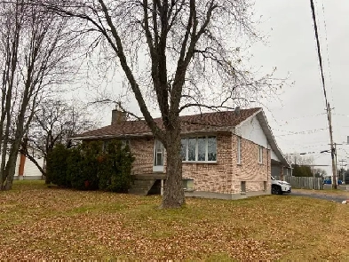 2 bed 1 bath Basement unit in Chelmsford house Image# 1