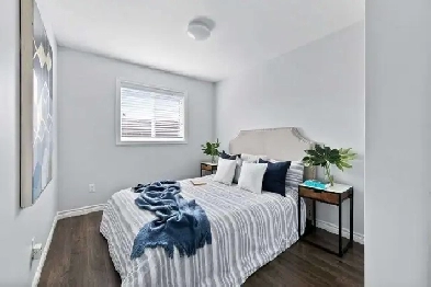 A single Room rent-Private Bedroom in Hamilton -Working/Students Image# 1