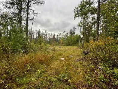 37114 Zebrun Rd, Belair - Cleared lot w/ approach on .84 acres! Image# 1