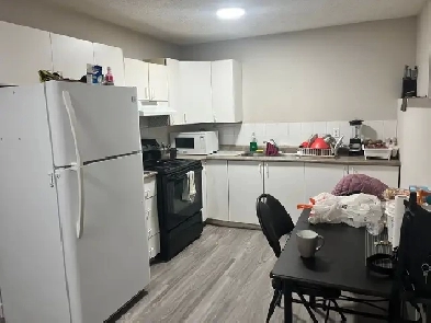 2 bedroom basement for rent Image# 2