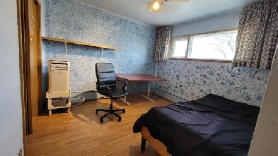 Room For Rent 15mins bus to U of M or MITT near Pembina Image# 1