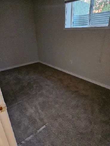 Room mate wanted to share new renovated basement. Image# 1