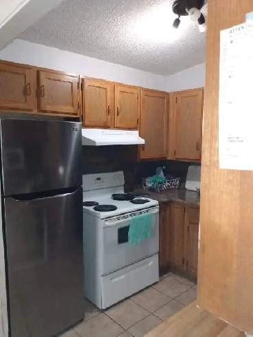 2 bedroom available only for girls close to UofM and pembina hwy Image# 2