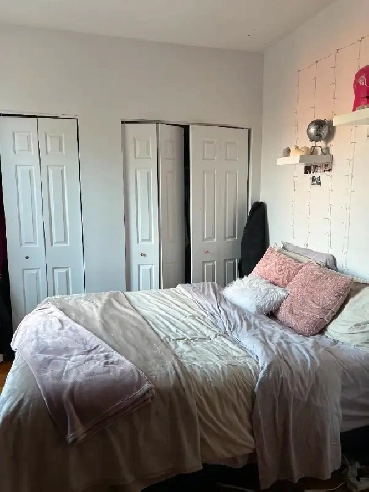 1-Bedroom Temporary Sublet - Centretown - 2-Month Sublet Image# 2