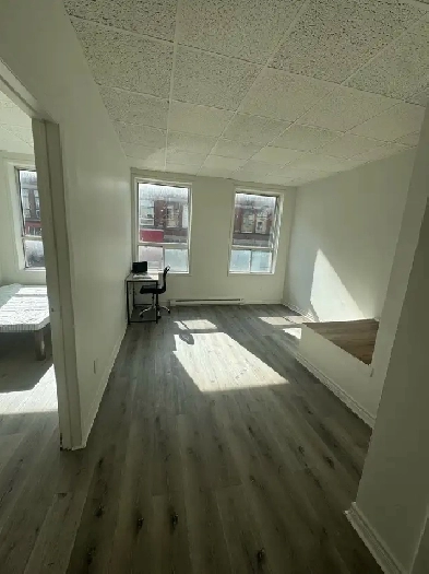 1 Bed 1 bath Newly renovated Apartments for Rent Image# 1