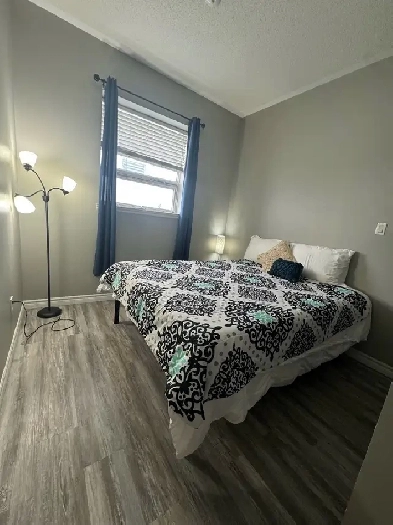 Jr 1 bed 1 bath apartment for rent Image# 3