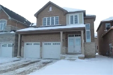 Excellent 2 Bedroom Basement For Rent in Brampton Image# 1