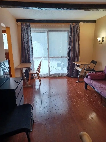 Furnished bachelor apartment short term rent $300 weekly Image# 1