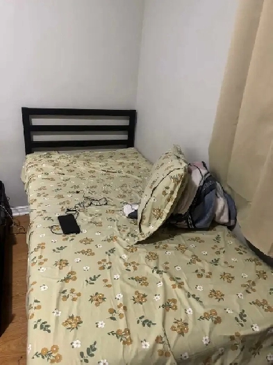 Room for rent, sharing with Nepali male Image# 2