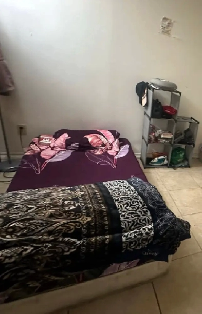 Female room sharing Brampton Opp Sheridian College-Oct 1 Image# 1