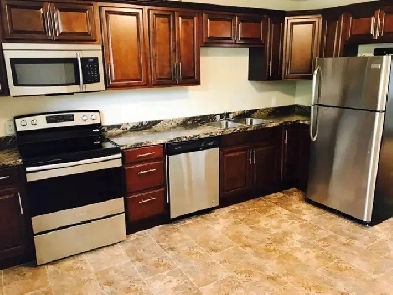 BEAUTIFUL NEWLY RENOVATED 2 BEDROOM DOWNTOWN APARTMENT Image# 2