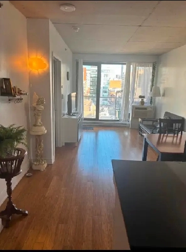 Fully furnished 3.5 condo on rent in Downtown from Oct 1st 2024. Image# 1