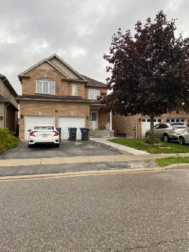 2 Bedroom Legal Basement Apartment in Brampton Image# 3