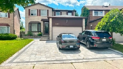 Mississauga Bsmt for rent Image# 3