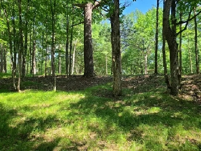 Estate Lot Adjacent to Park and Cataraqui Trail Image# 1