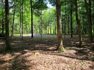 Estate Lot in Rideau Lakes Cottage Country Image# 1