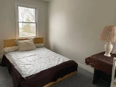 Clean, Quiet, Large One bedroom unit for Professional