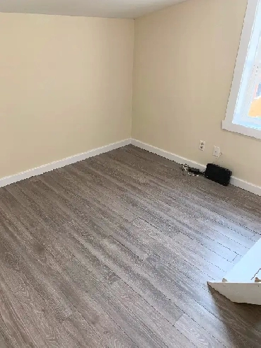 Room Rental in 4 Bedroom Downtown (Open Now) - Pet Friendly